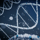 REGENXBIO and Sarepta Settle Elevidys® Patent Disputes