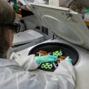 PTAB Director Institutes Four Simponi® / Simponi Aria® (golimumab) IPRs