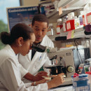 Keytruda Qlex™ Updates: PTAB Finds Halozyme ’520 PH20 Patent Unpatentable and Institutes Three IPRs