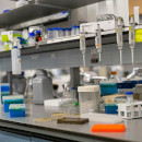 Genentech and Biocon Settle Perjeta® BPCIA Litigation